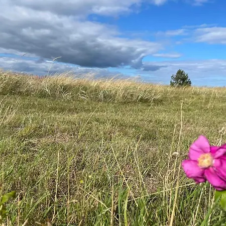 6 Person In Glesborg-by Traum 度假居 Fjellerup